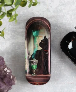 Gothic Gifts Absinthe Glasses Case