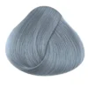 La Riche Directions Semi Permanent Hair Dye - Silver 2 La Riche Directions Semi Permanent Hair Dye - Silver