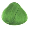 La Riche Directions Semi Permanent Hair Dye - Spring Green 1 La Riche Directions Semi Permanent Hair Dye - Spring Green