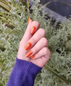 Radioactive Unicorn Hallow-Queen Nail Polish 10 Radioactive Unicorn Hallow-Queen Nail Polish