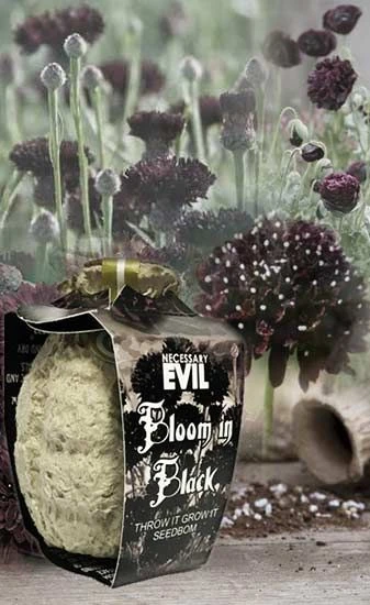 Necessary Evil Kabloom Bloom In Black Seedbom Homeware 3 Necessary Evil Kabloom Bloom In Black Seedbom Homeware