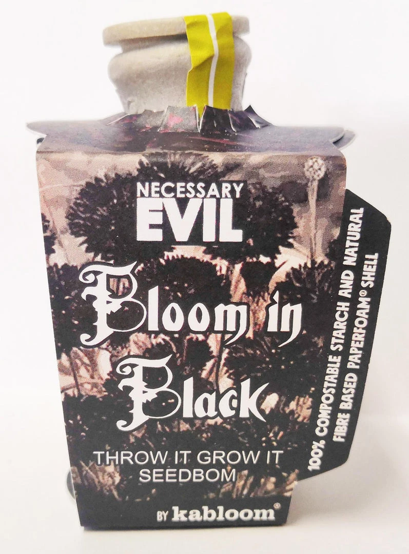 Necessary Evil Kabloom Bloom In Black Seedbom Homeware 4 Necessary Evil Kabloom Bloom In Black Seedbom Homeware