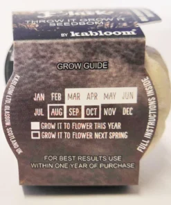 Necessary Evil Kabloom Bloom In Black Seedbom Homeware 9 Necessary Evil Kabloom Bloom In Black Seedbom Homeware