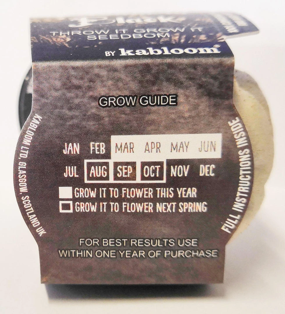 Necessary Evil Kabloom Bloom In Black Seedbom Homeware 6 Necessary Evil Kabloom Bloom In Black Seedbom Homeware