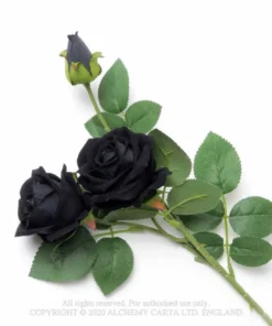 Alchemy Gothic Imitation Black Rose Spray Homeware