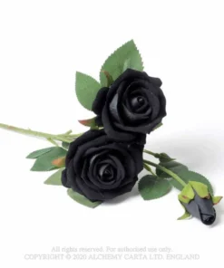 Alchemy Gothic Imitation Black Rose Spray Homeware