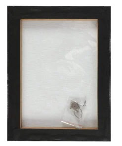 Homeware Gothic Gifts Poe's Raven Canvas By Alchemy